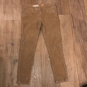 Brown corduroy pants